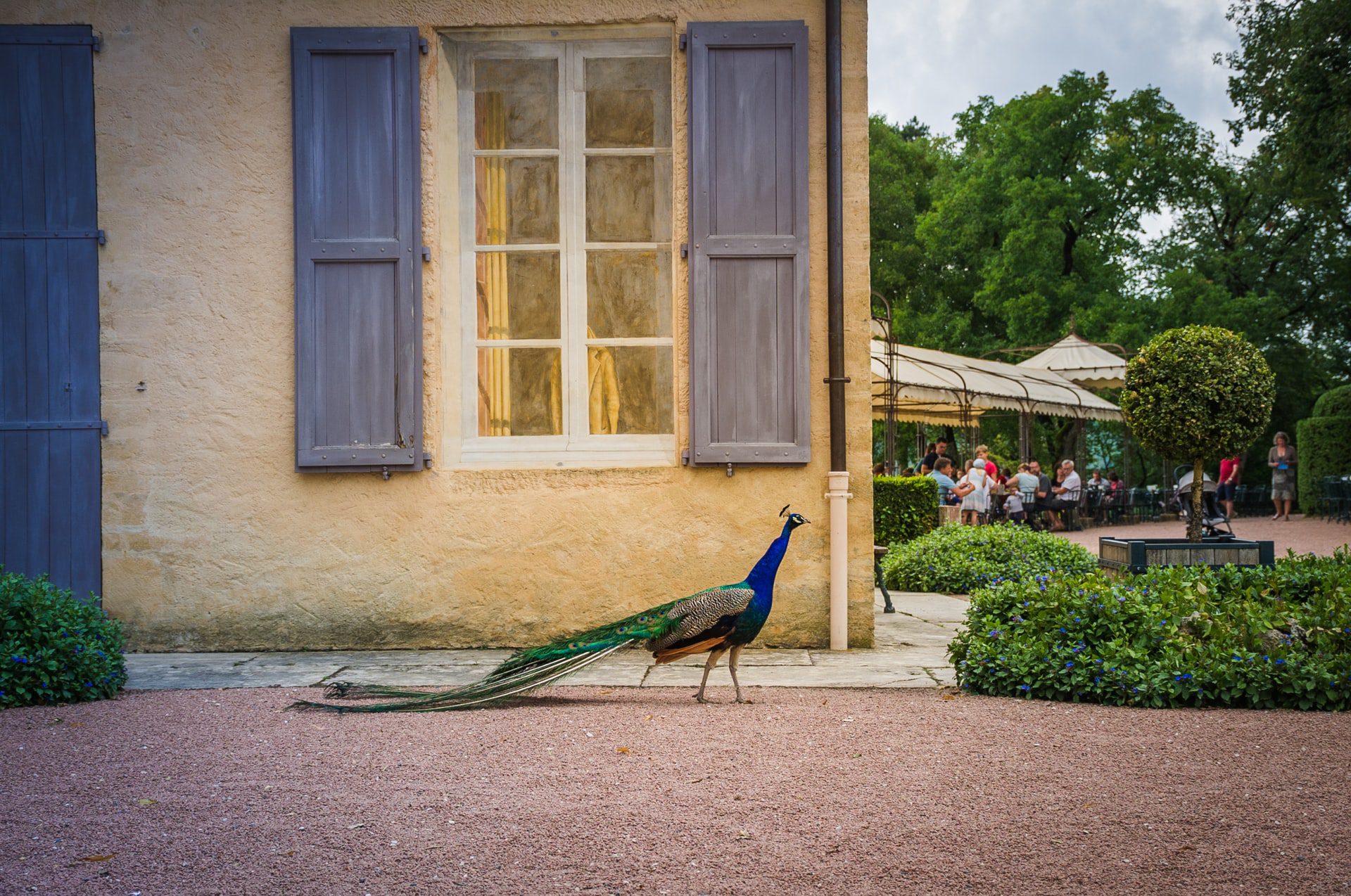 Les Jardins de Marqueyssac, Dordogne, France. Event venue for your wedding or corporate party. jpg